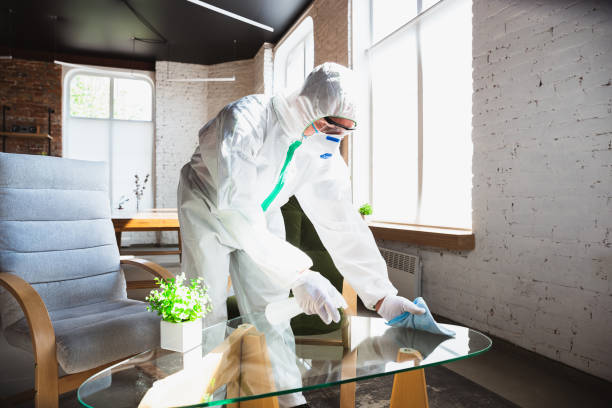 Reliable South Glens Falls, NY Mold Removal & Remediation Solutions